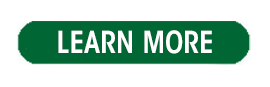 learn more button